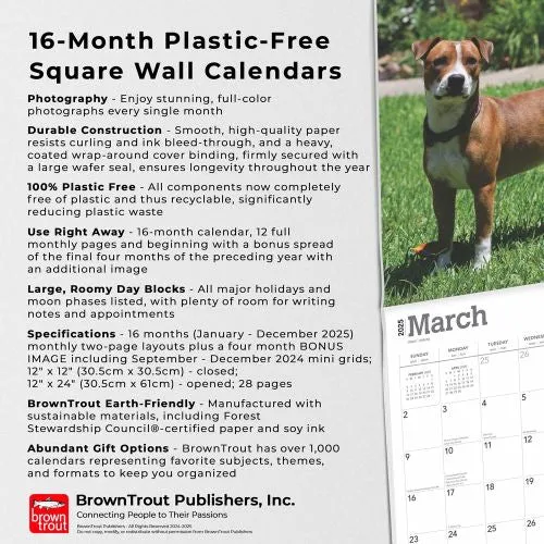 2025 American Pit Bull Terriers Wall Calendar