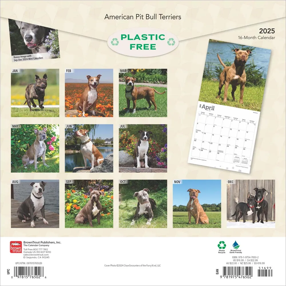 2025 American Pit Bull Terriers Wall Calendar