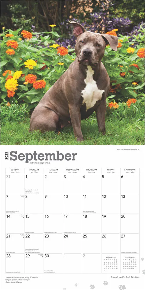 2025 American Pit Bull Terriers Wall Calendar