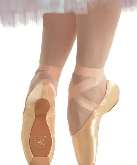 Gaynor Minden Europa Classic Fit Extraflex Shank Box 5 Pointe Shoes