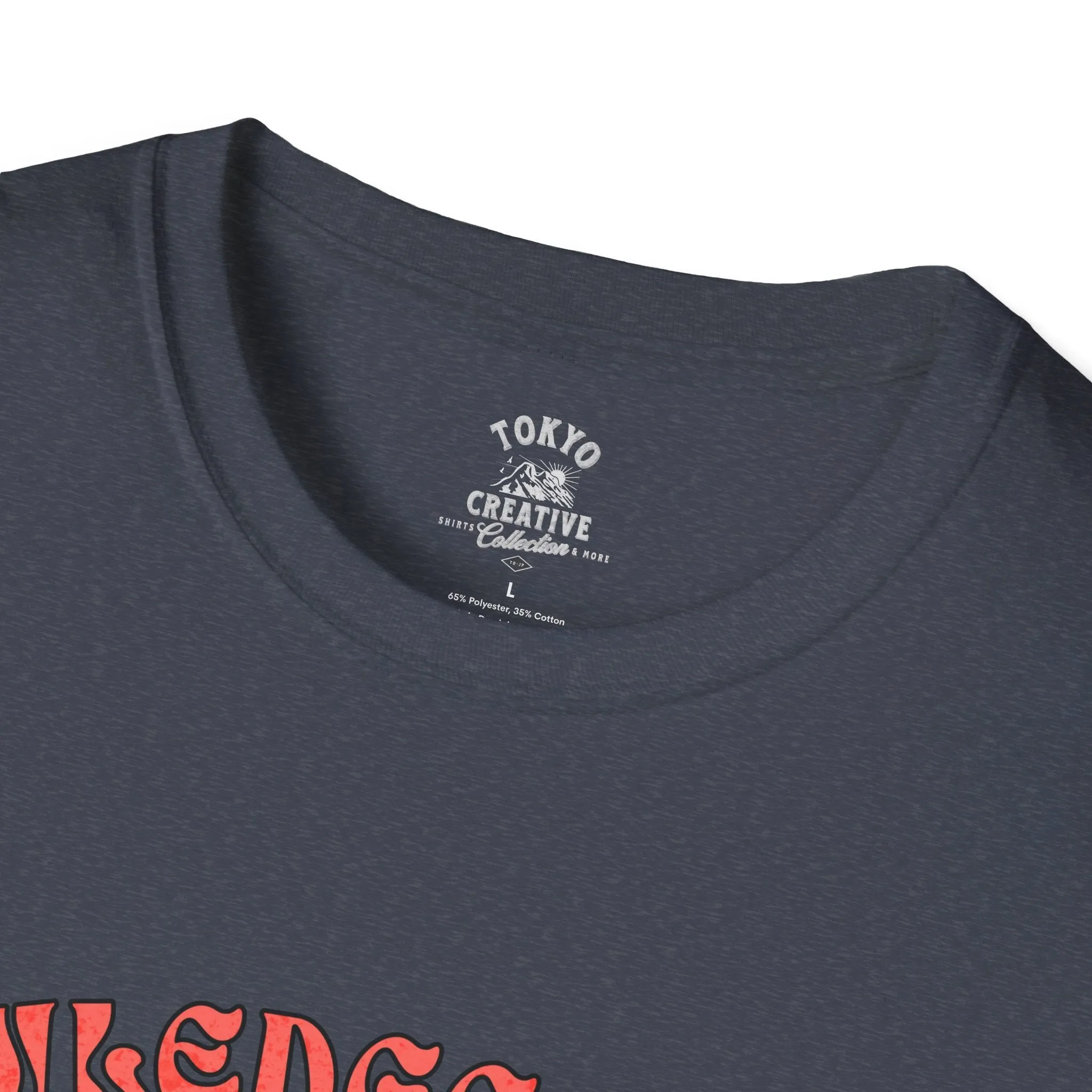 Knowledge Domain Cleric Shirt - "I Heal and I Know Things" Tee for RPG Gamers and Wise Healers