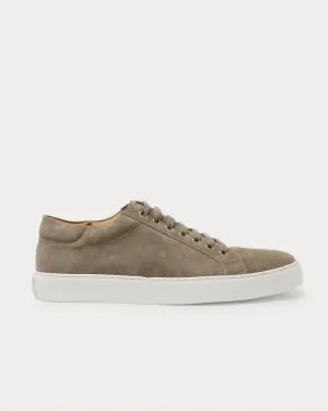 Severn Suede  Gray low top sneakers