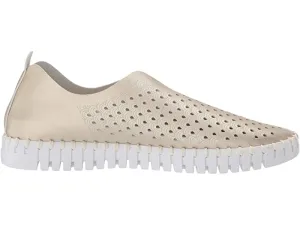 Tulip Flats (Platinum)